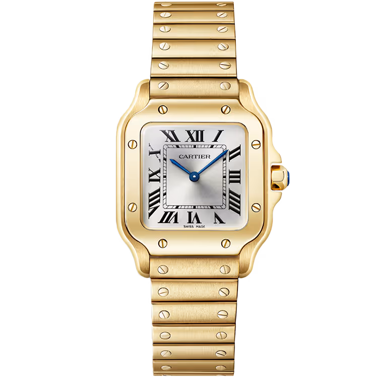Cartier Santos