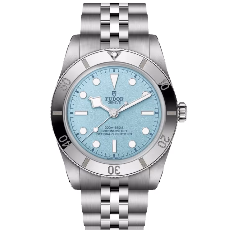 Tudor Black Bay